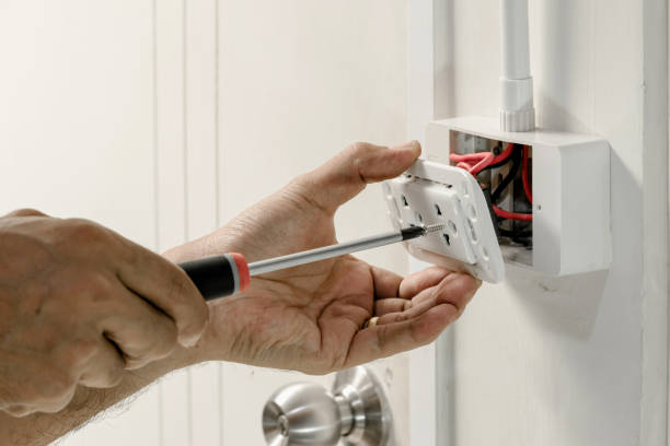 Best Surge Protection Installation  in South Alamo, TX