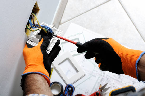 Best Electrical Maintenance Services  in South Alamo, TX